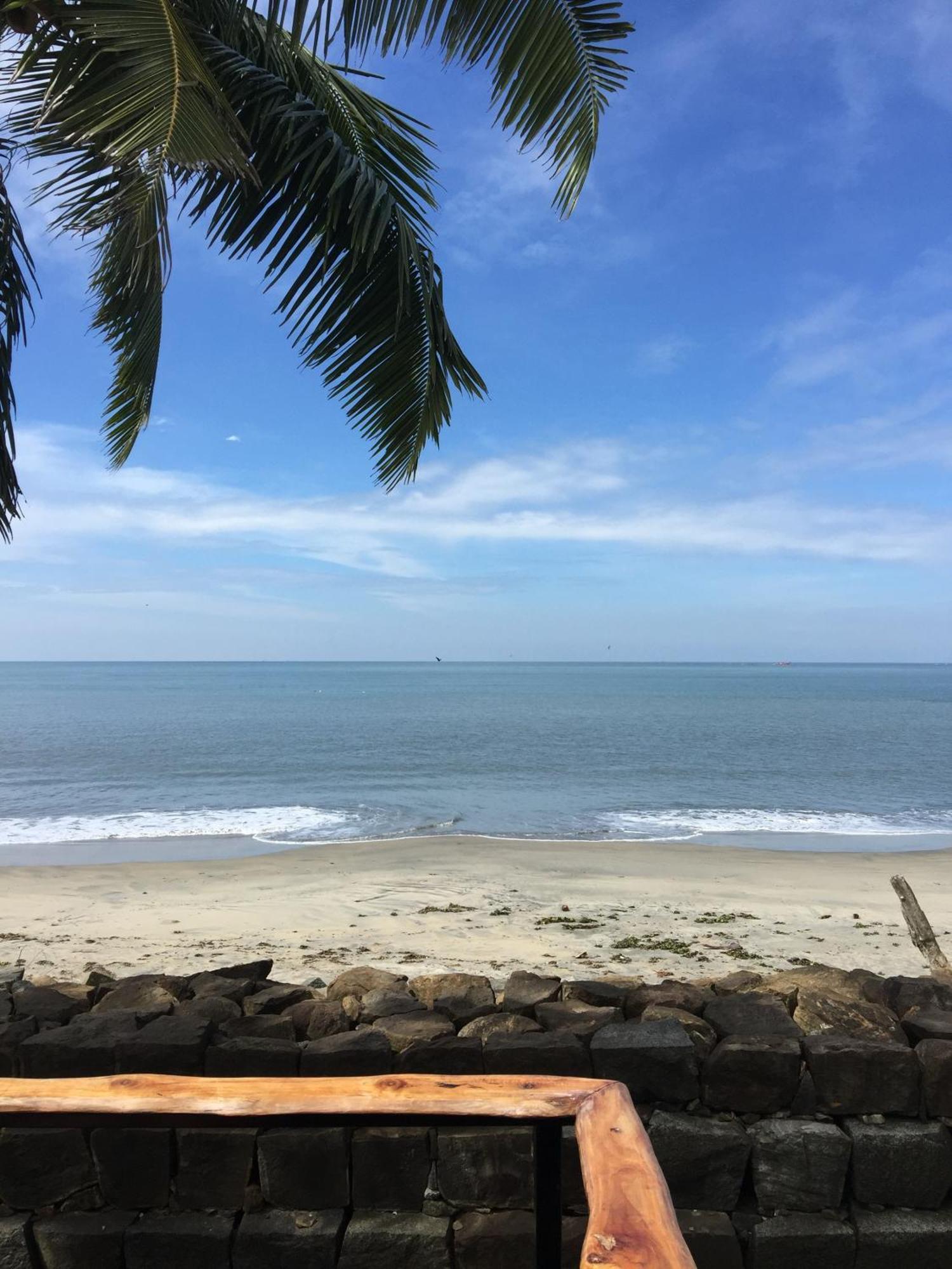 Hotel 36 Palms Boutique Retreat Cherai Beach Zewnętrze zdjęcie